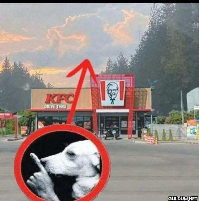 KFC DRIVE THRU