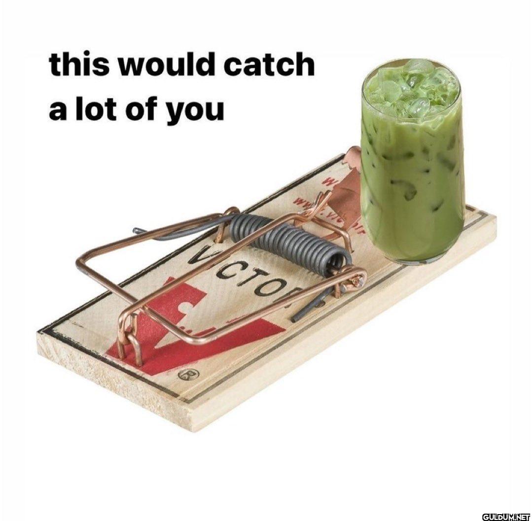ㅤ    this would catch a...