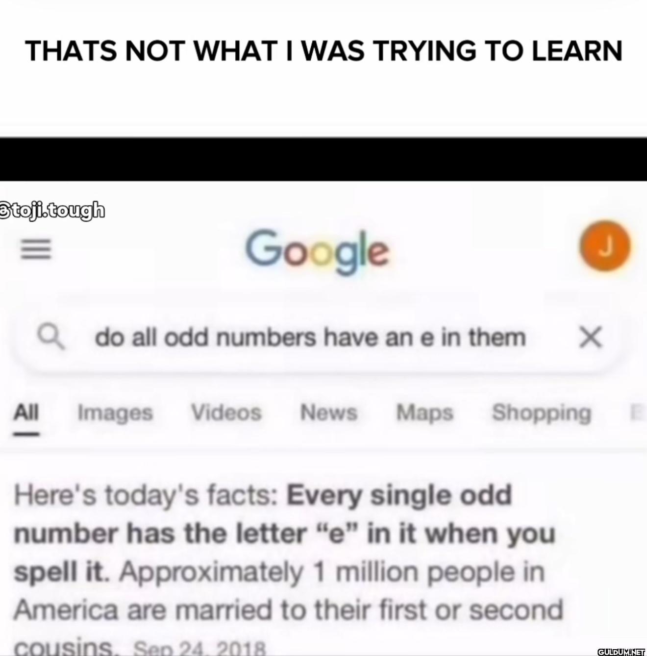 THATS NOT WHAT I WAS...