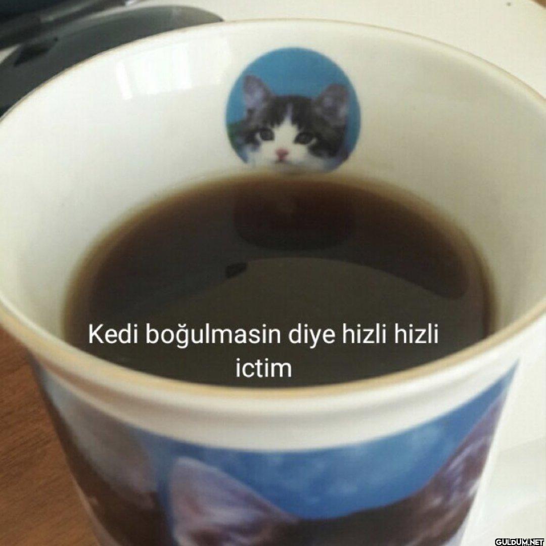 Kedi boğulmasin diye hizli...