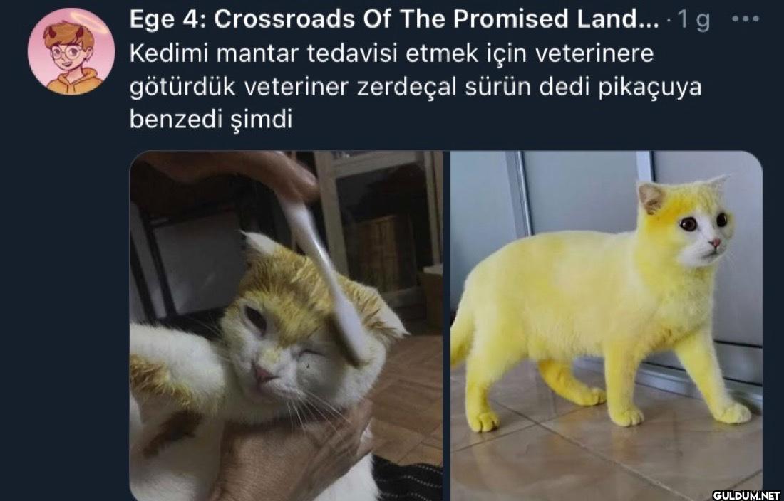 Ege 4: Crossroads Of The...