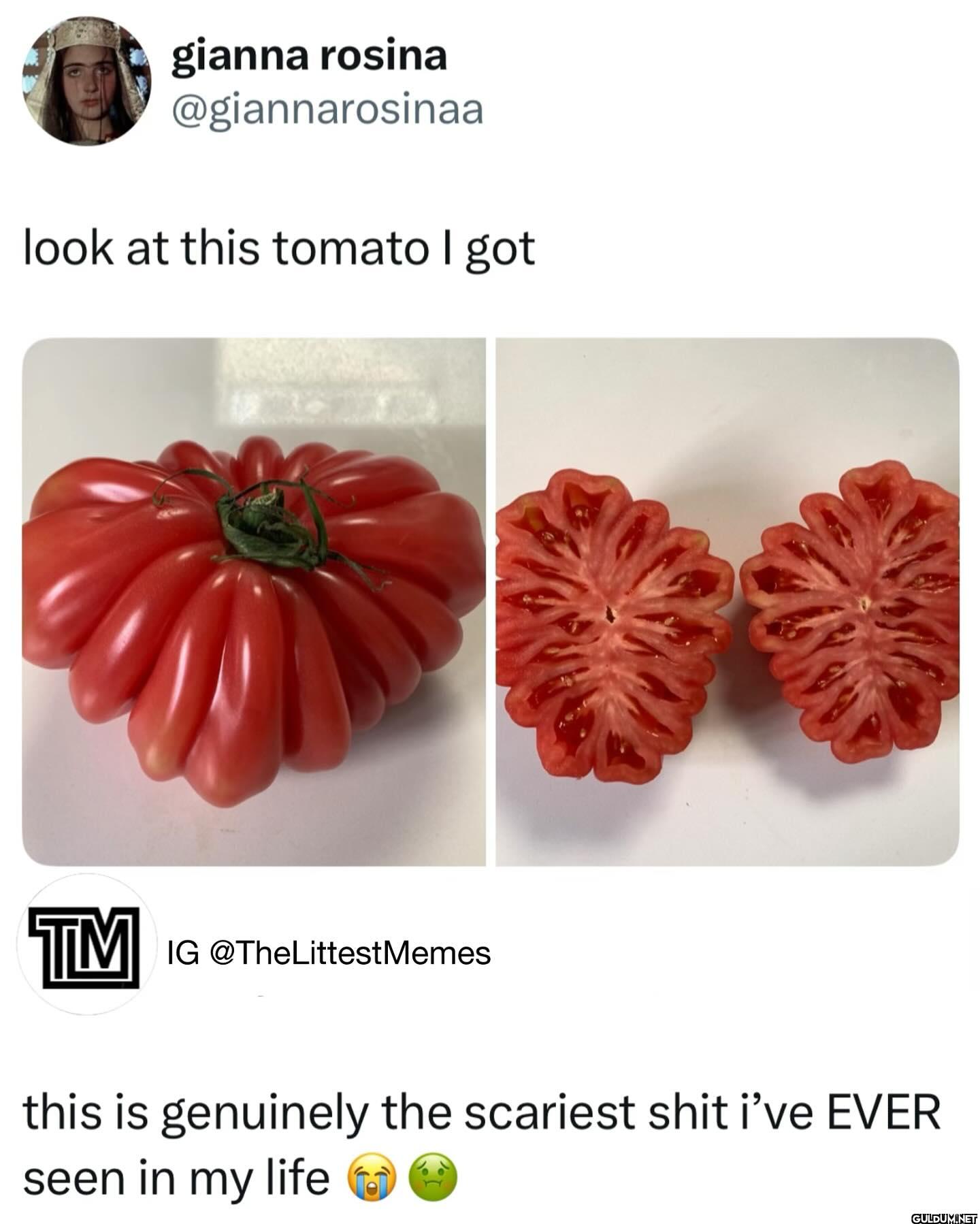 look at this tomato I got...