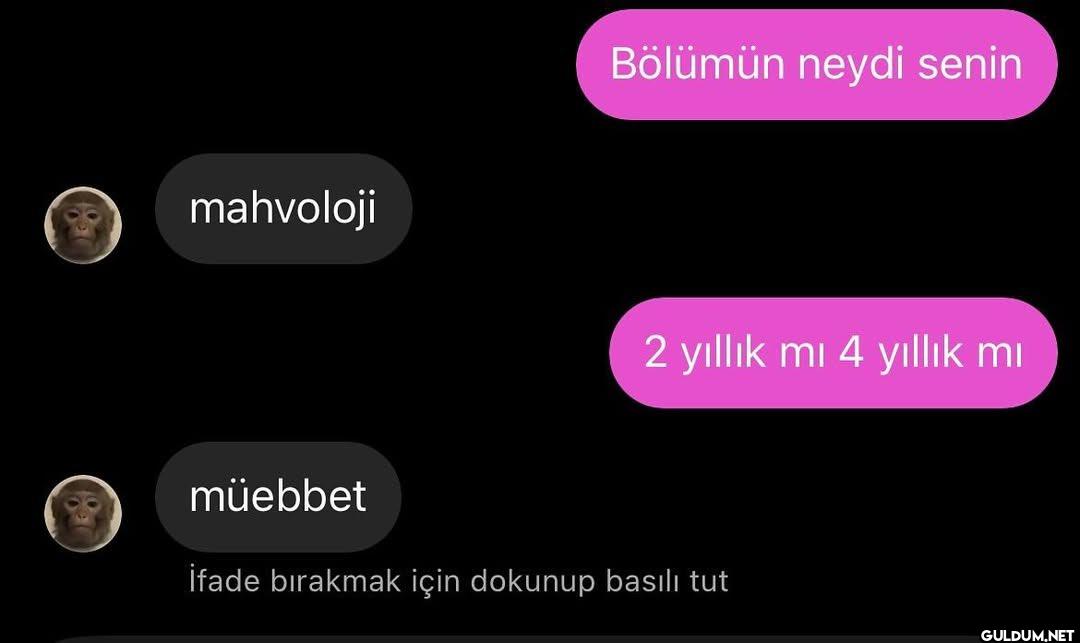 mahvoloji Bölümün neydi...