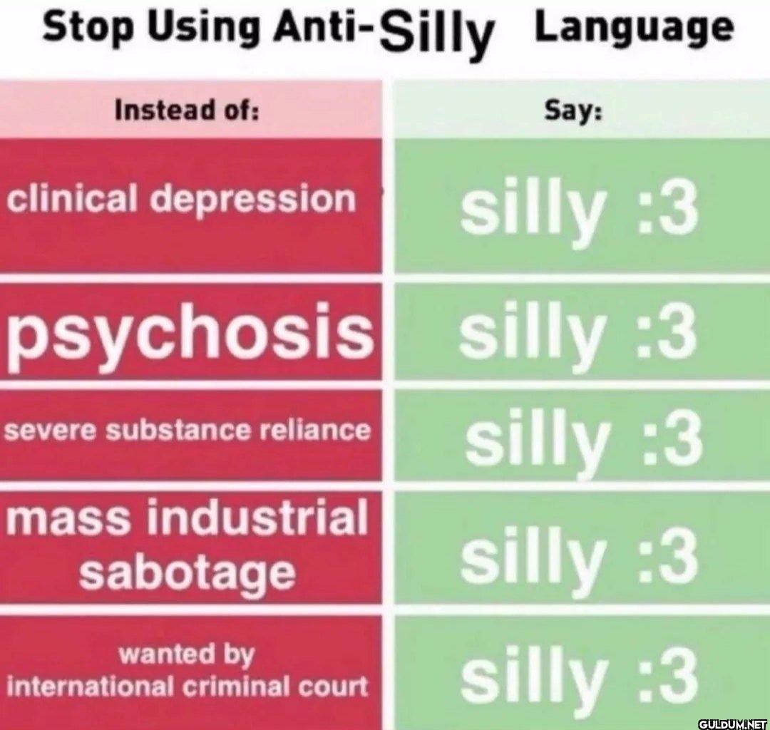 Stop Using Anti-Silly...