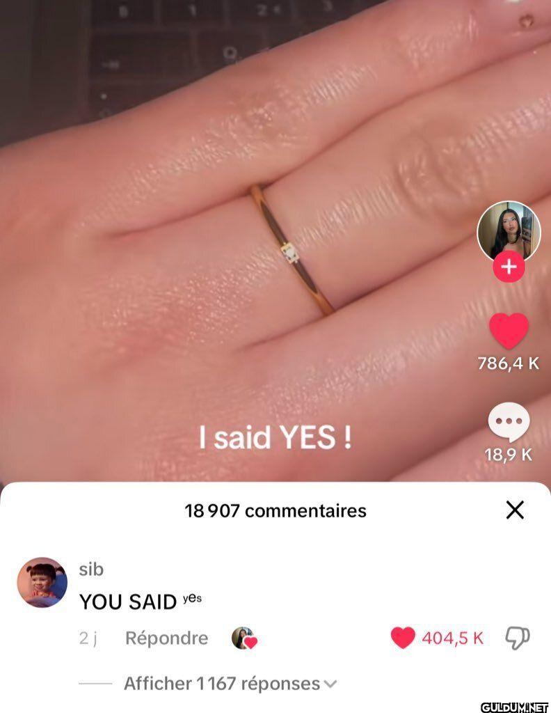 sib 24 I said YES! 786,4 K...