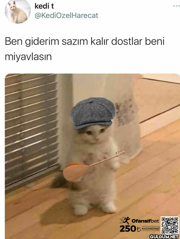 Harecat Ben giderim sazım...