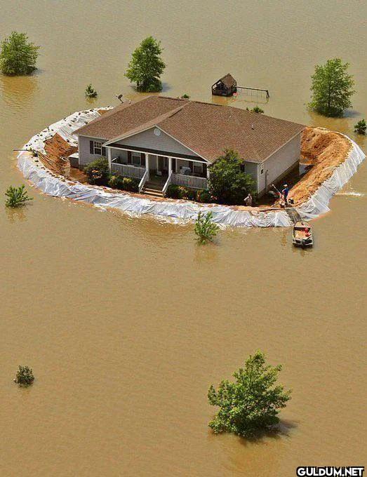 Homemade levee saves...