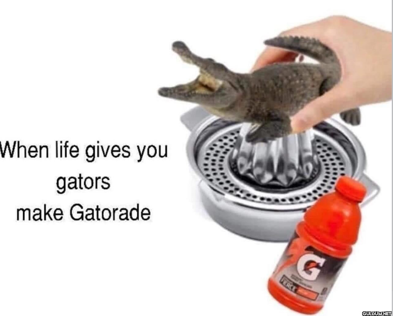 When life gives you gators...