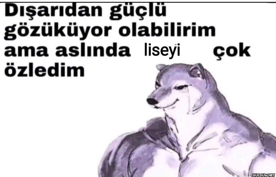 Dışarıdan güçlü gözüküyor...