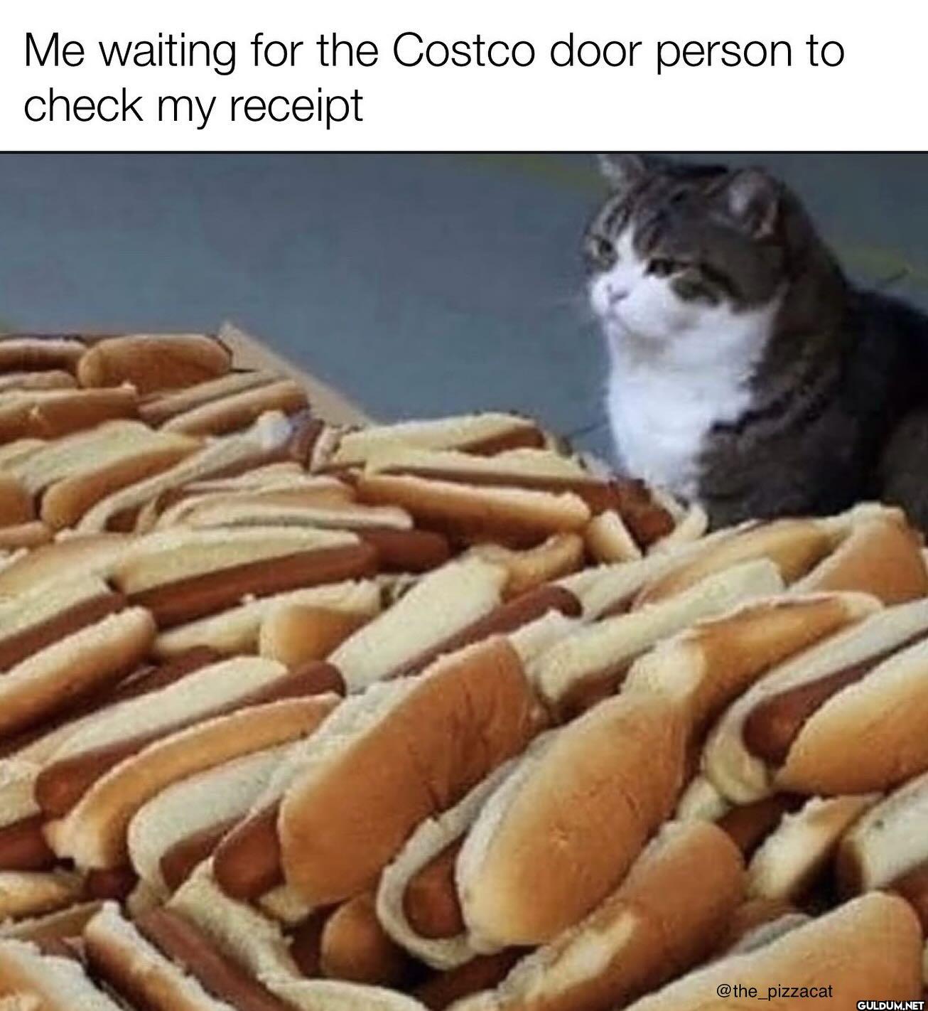 Me waiting for the Costco...