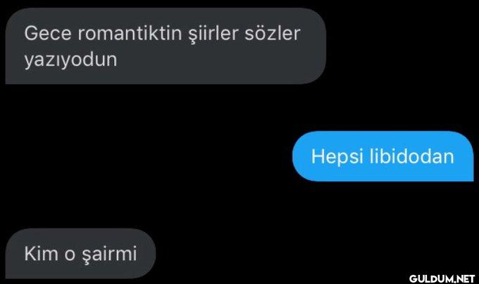 evet, divan şairi    Gece...
