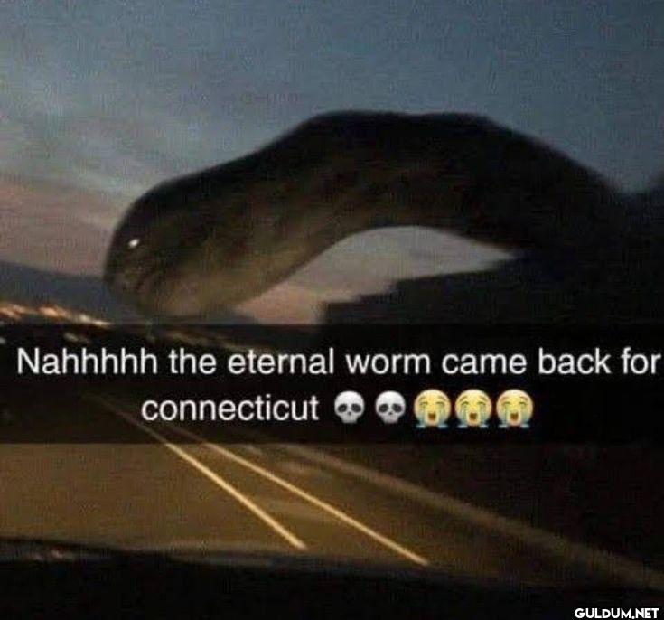 Nahhhhh the eternal worm...