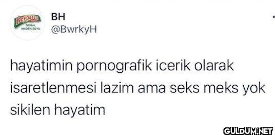 hayatimin pornografik...