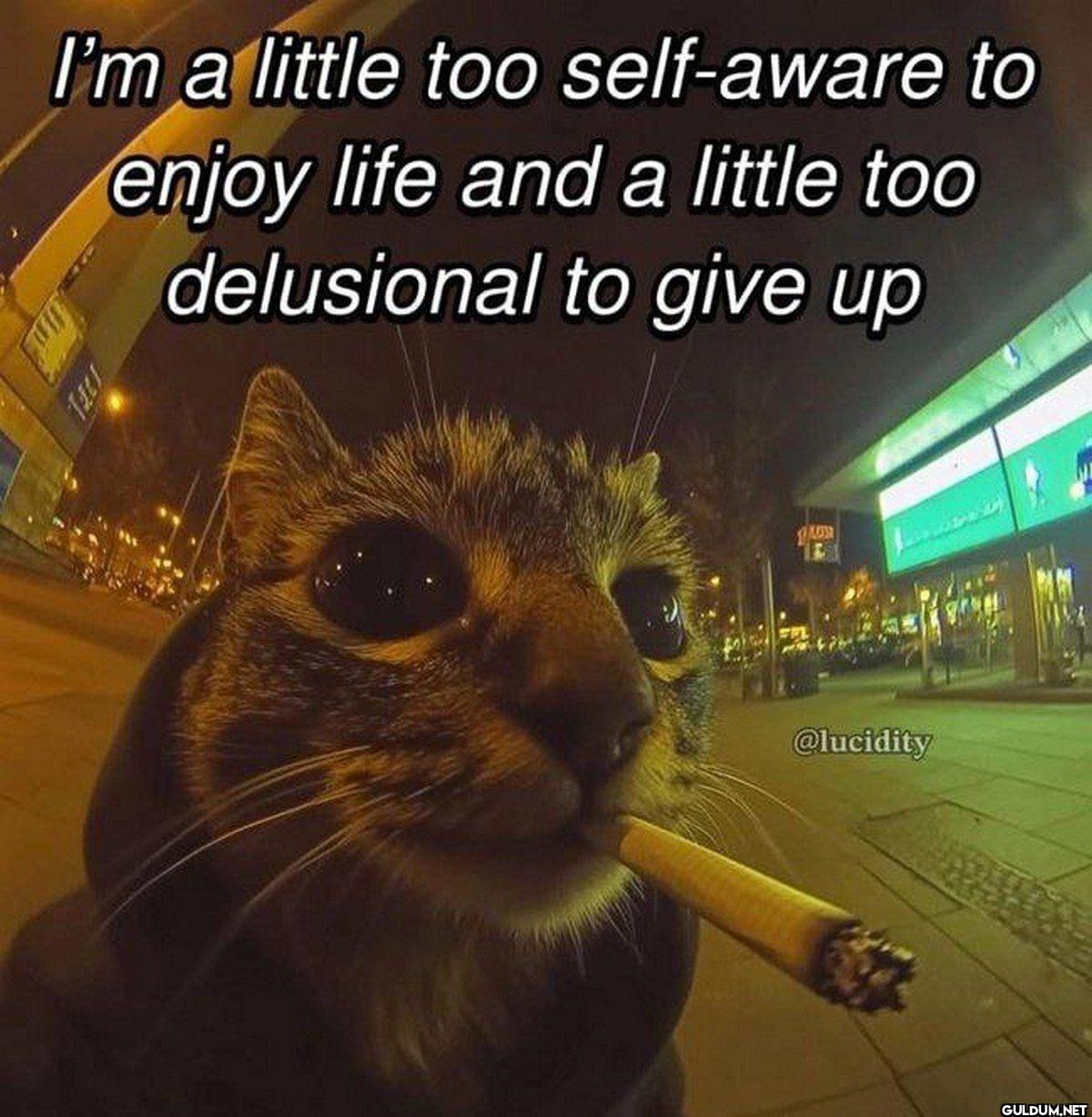 I'm a little too...