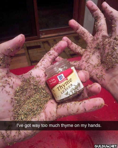 The Taste Tu Trust M Thyme...