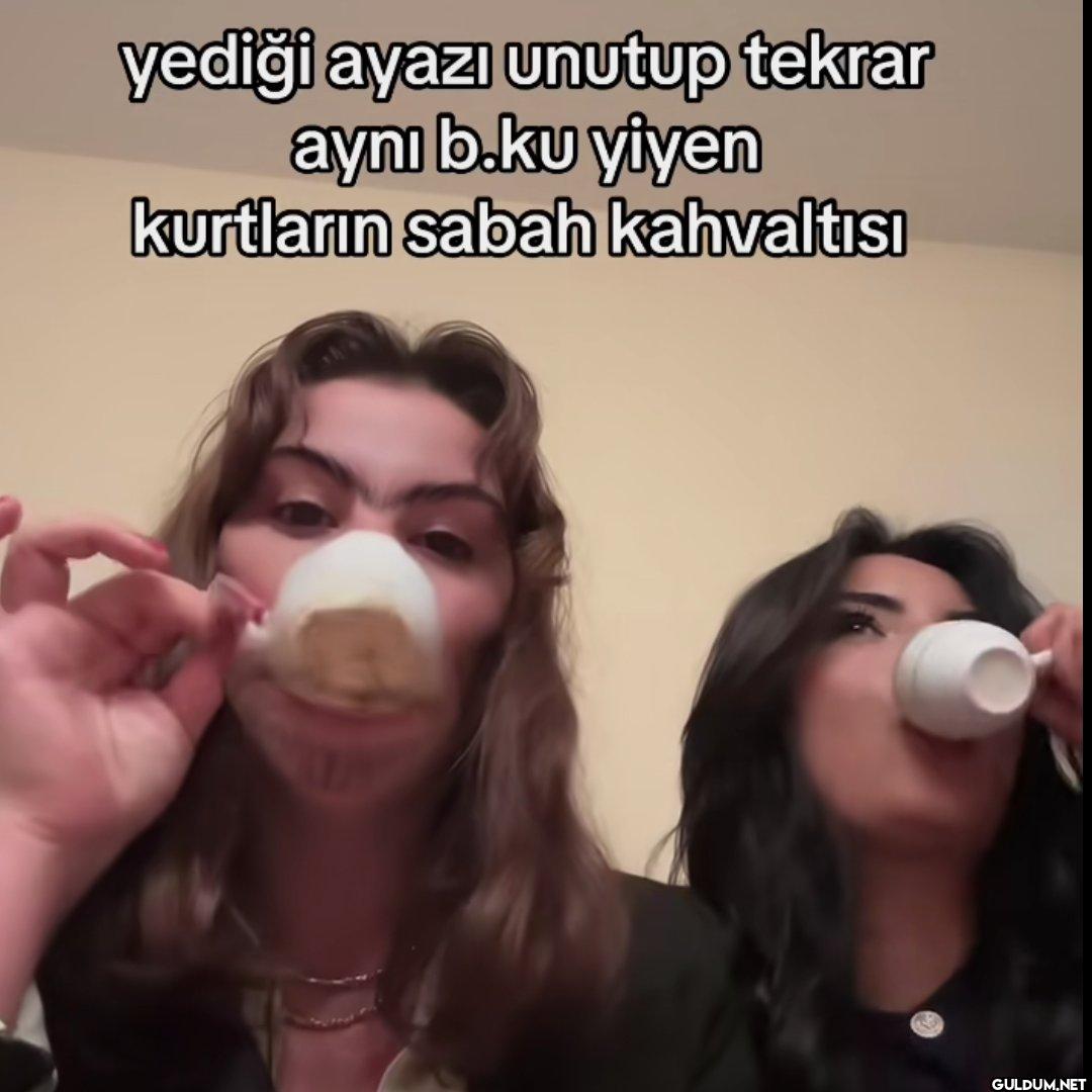 yediği ayazı unutup tekrar...
