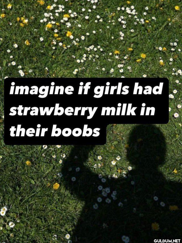 imagine if girls had...