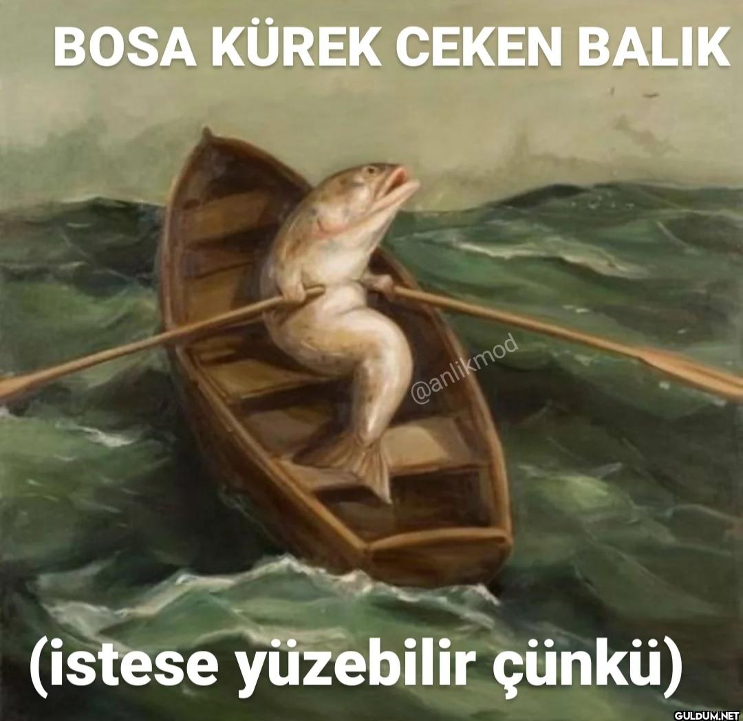 (istese yüzebilir çünkü)