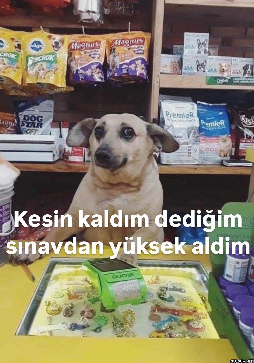 digre Magnus CROK Biscoito...