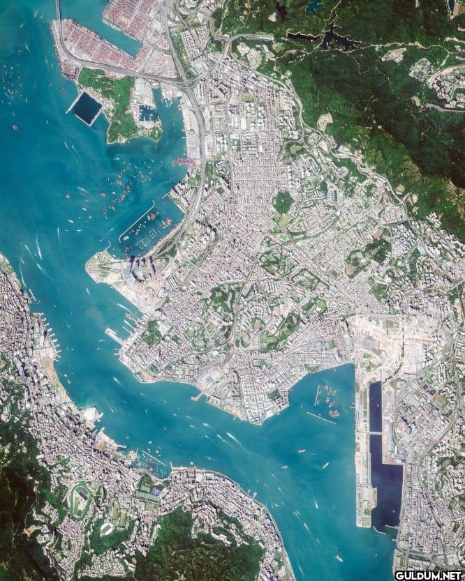 12. Hong Kong
