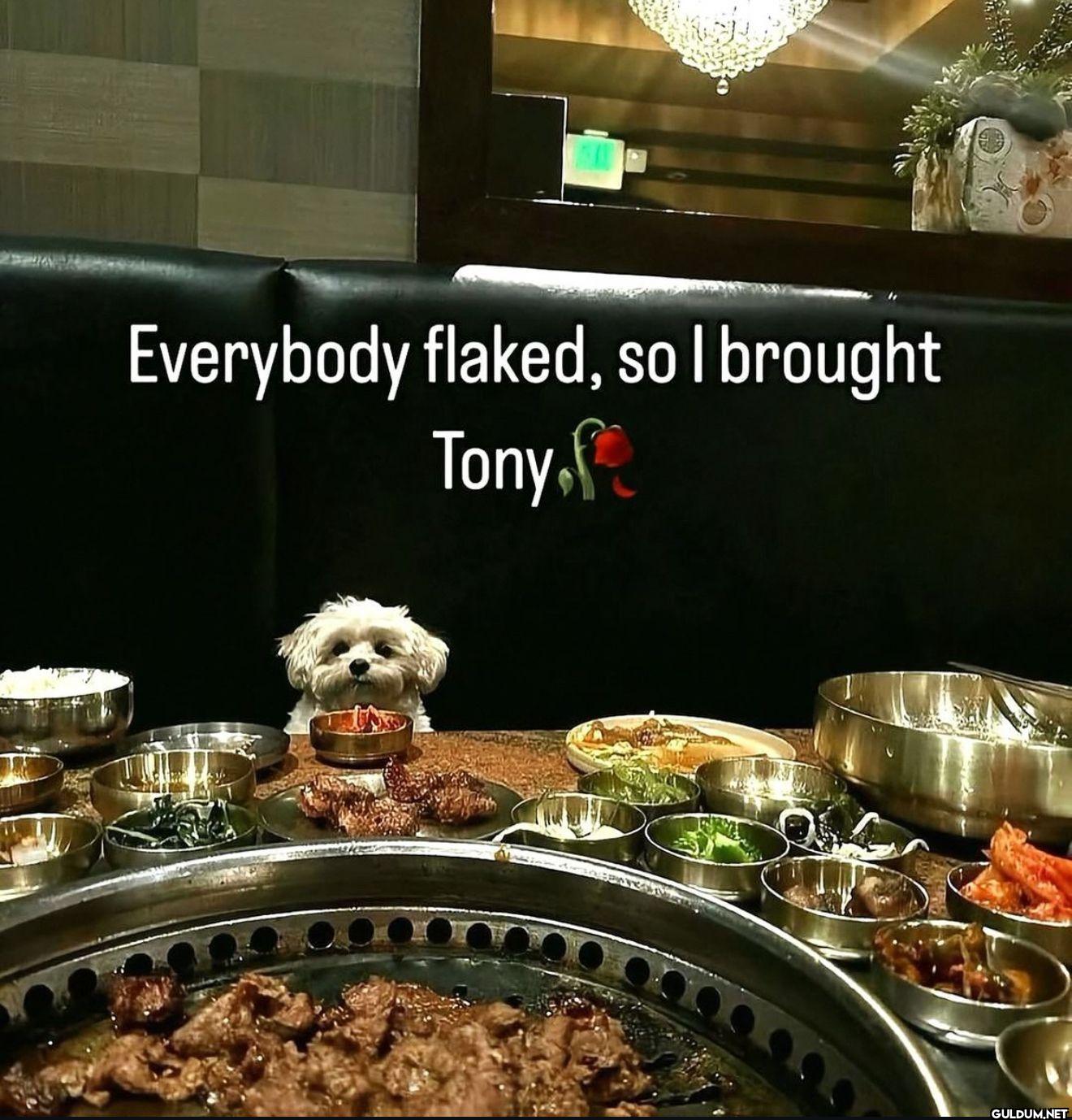 Everybody flaked, so I...