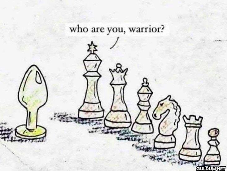who are you, warrior?