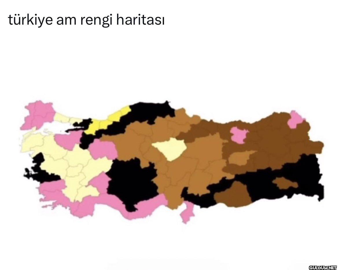 türkiye am rengi haritası