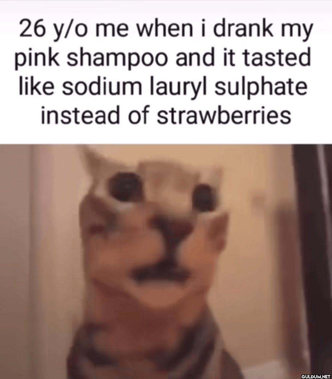 26 y/o me when i drank my...