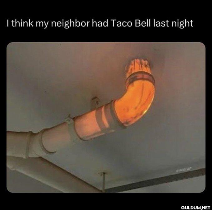 I think my neighbor had...