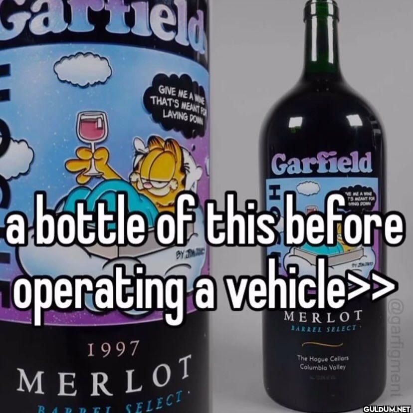 Garfield GIVE ME A WINE...