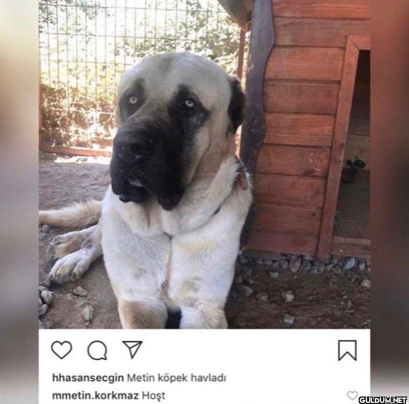 от hhasansecgin Metin...