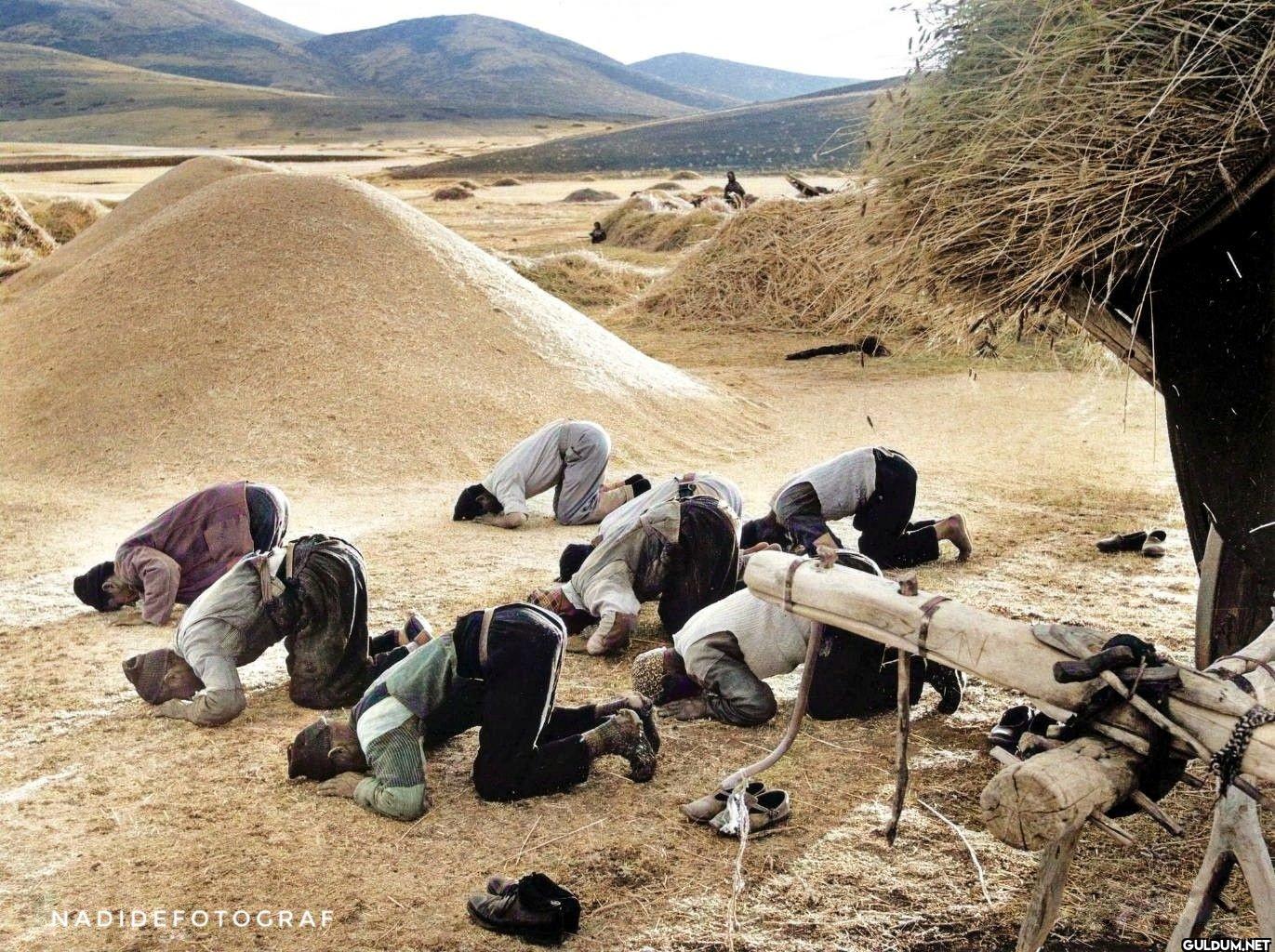 🌾Anadolu'da hasat sonrası...