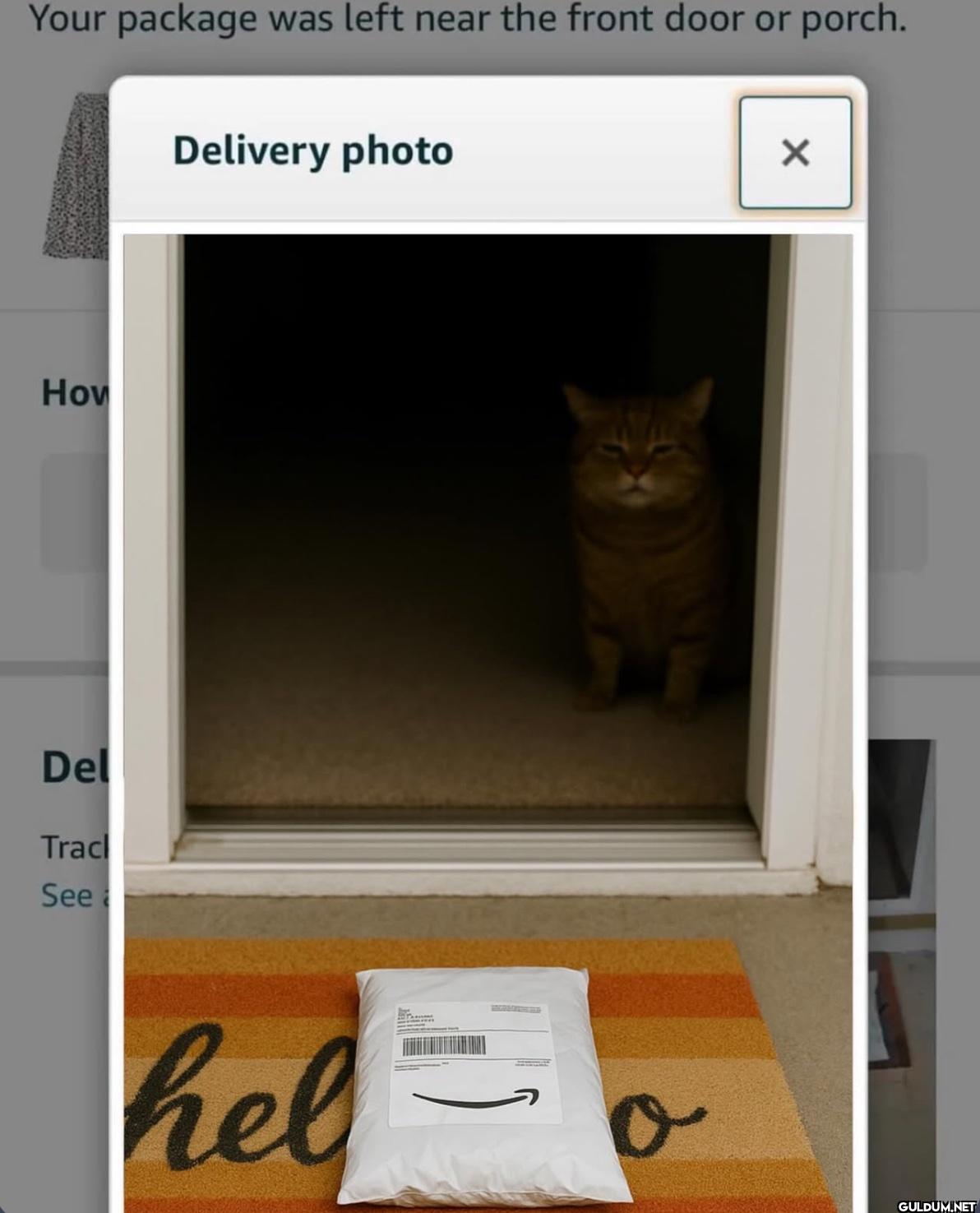 Your package was left near...