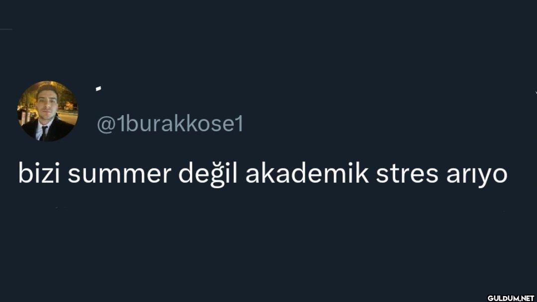 bizi summer değil akademik...