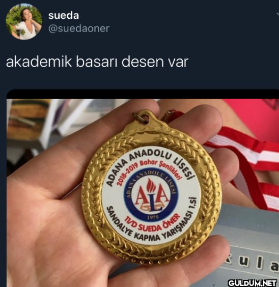 akademik basari desen var...