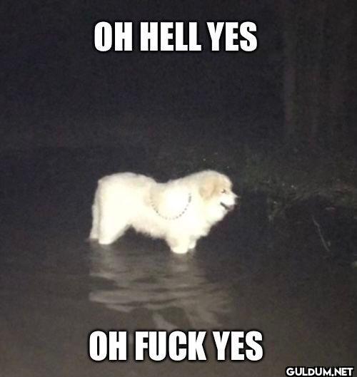 OH HELL YES OH FUCK YES