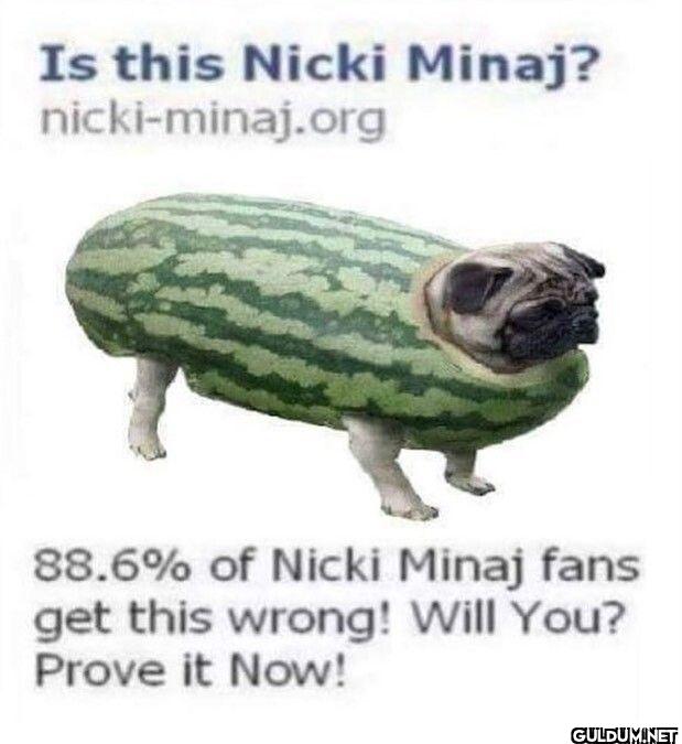 Is this Nicki Minaj?...