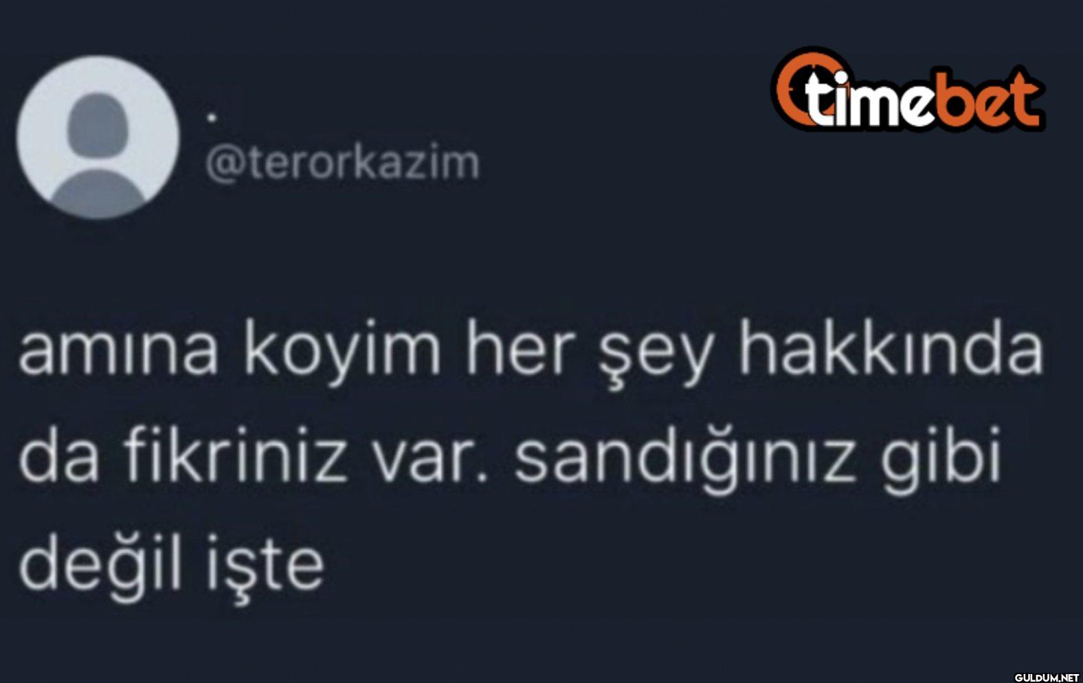 timebet amına koyim her...