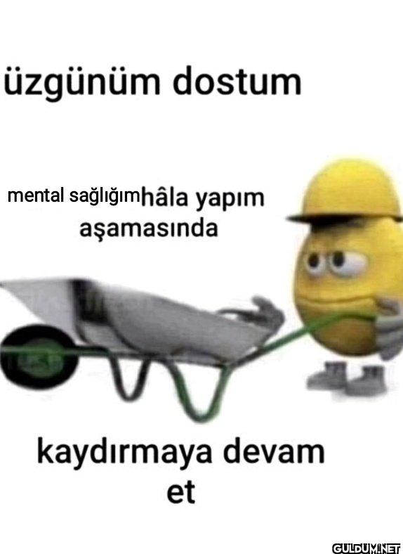 üzgünüm dostum mental...