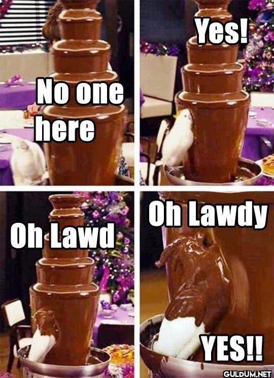 No one here Yes! Oh Lawdy...