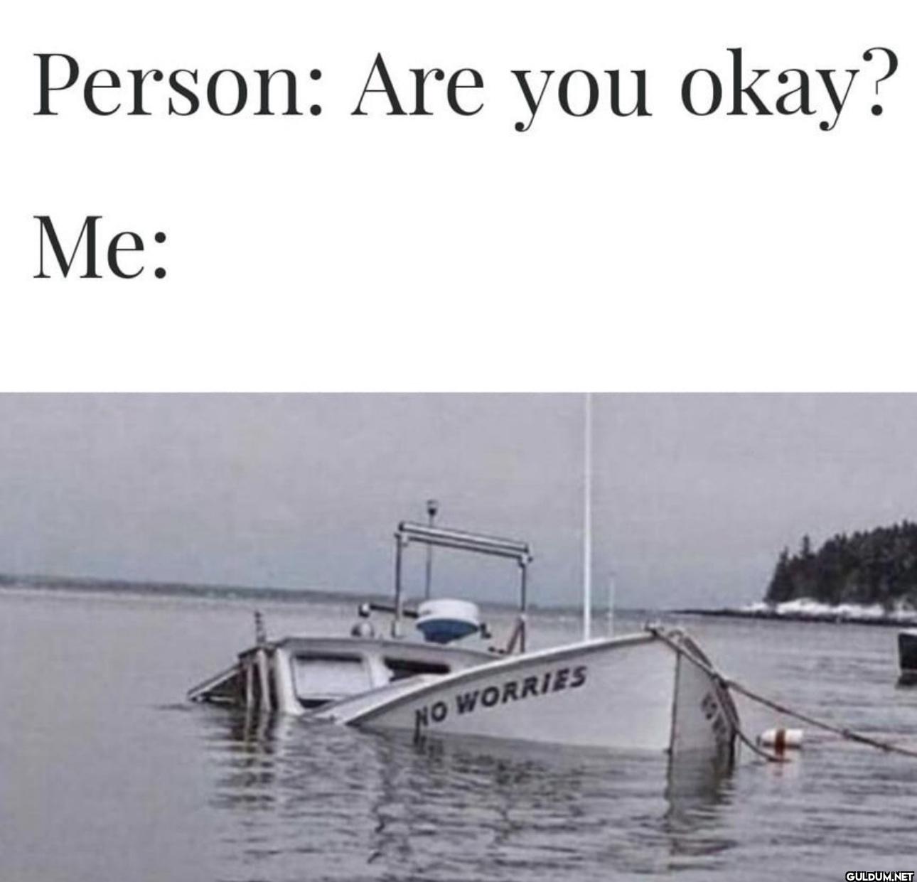Person: Are you okay? Me:...