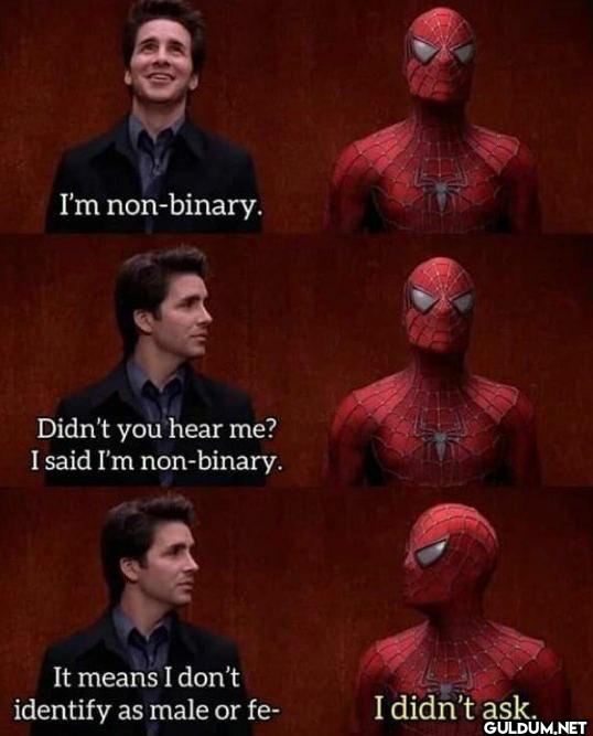 Nobody did.    I'm...