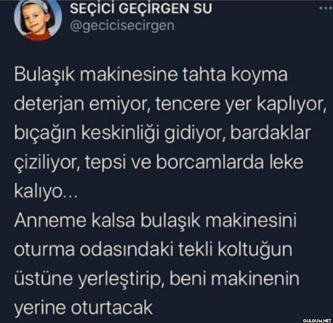 Bulaşık makinesine tahta...