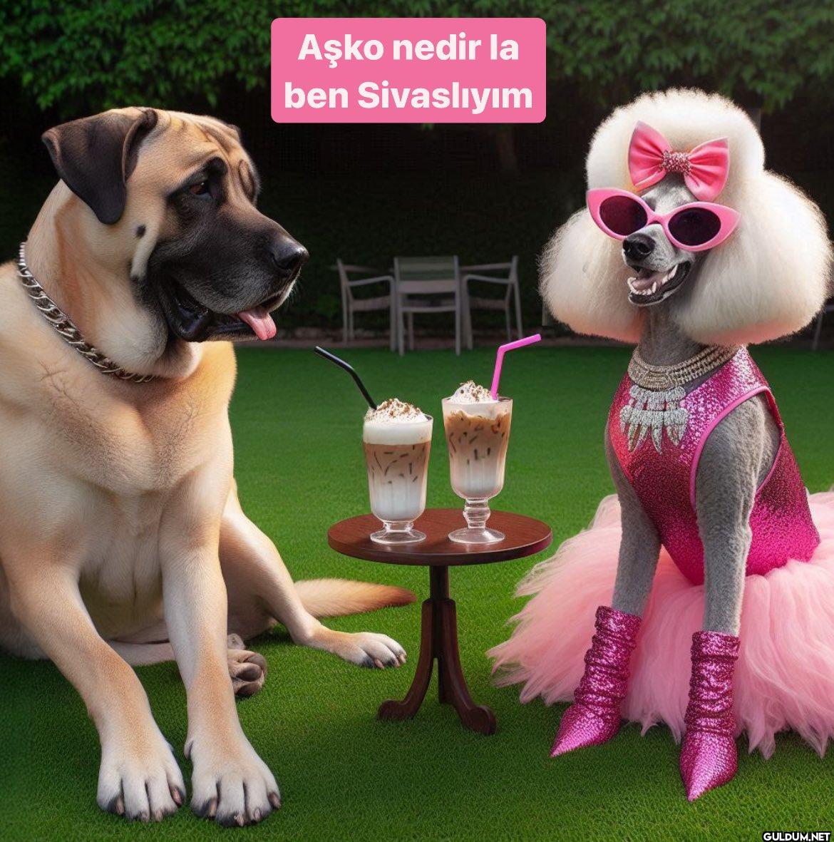 Aşko nedir la ben Sivaslıyım