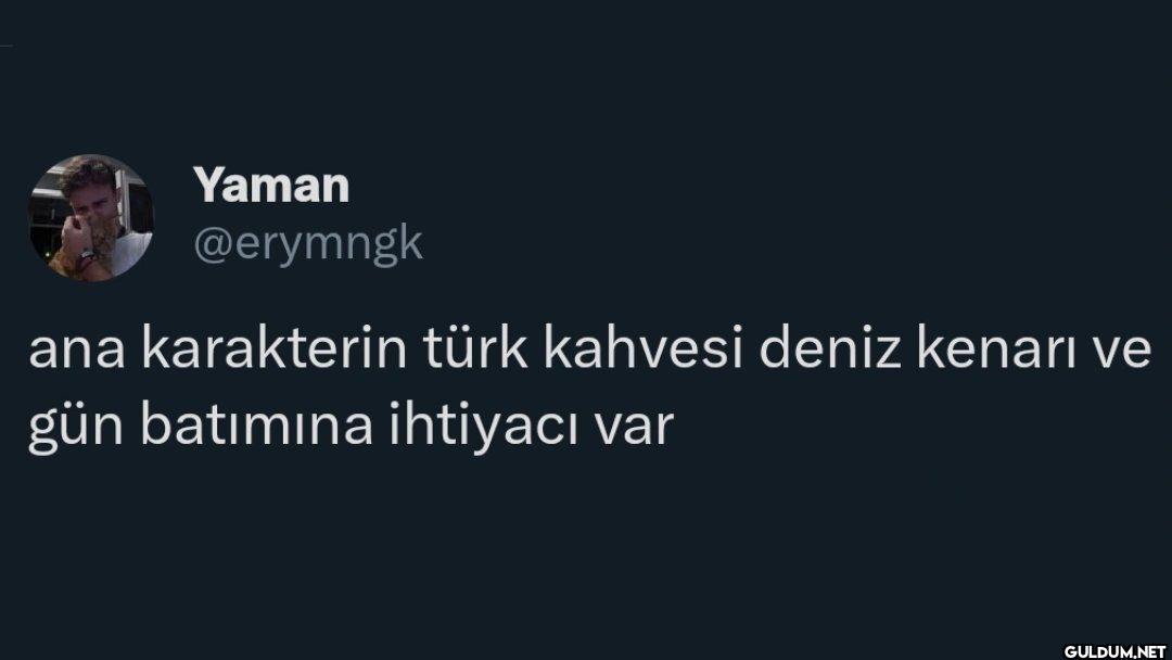 ana karakterin türk...