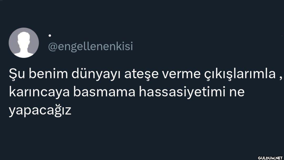 Şu benim dünyayı ateşe...