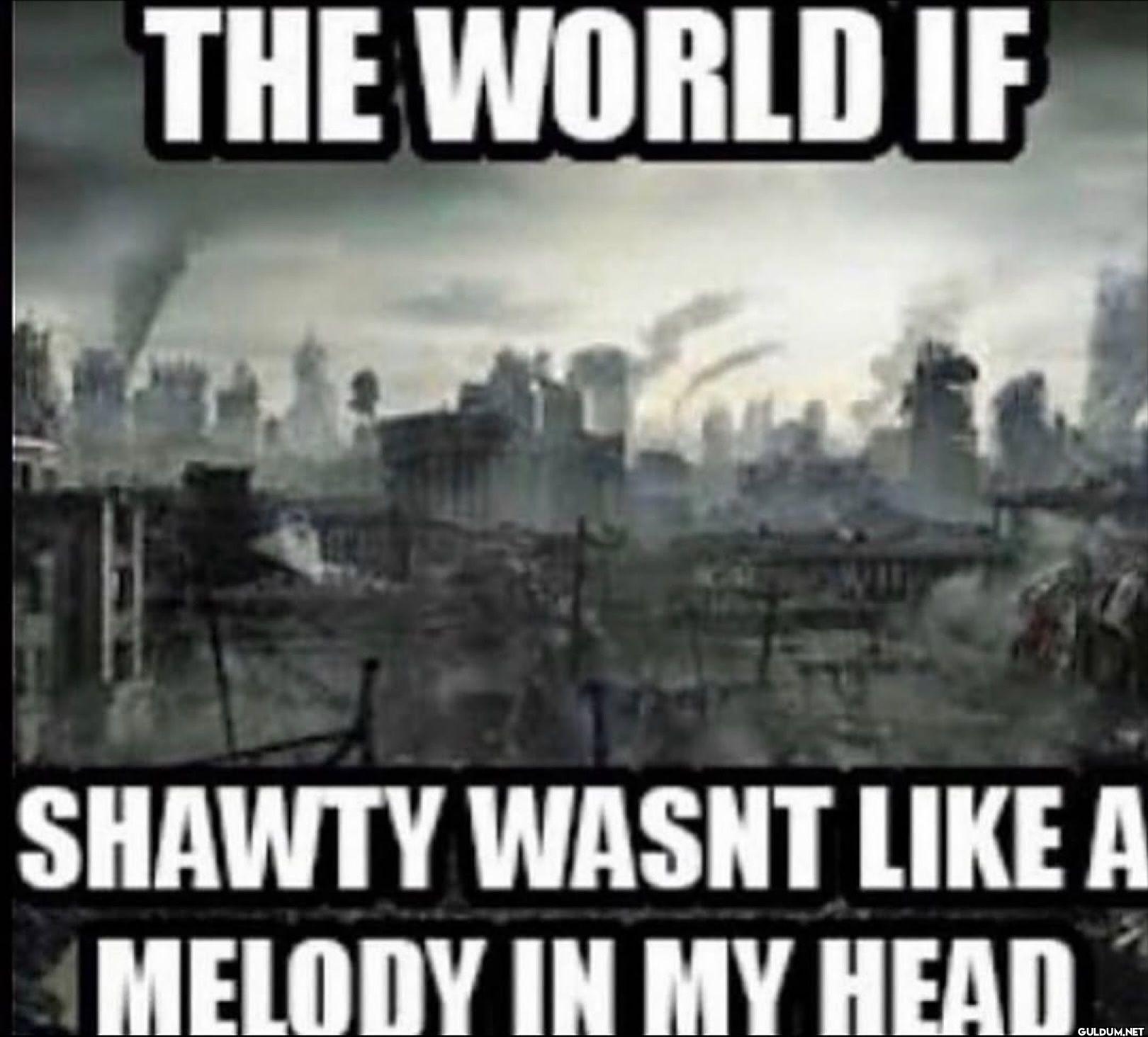 THE WORLD IF SHAWTY WASNT...