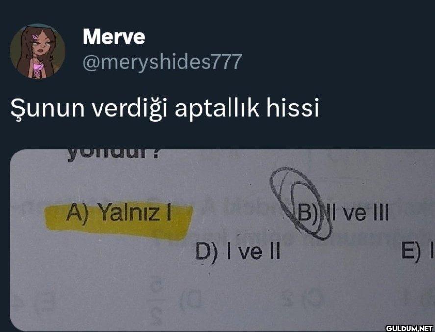 Şunun verdiği aptallık...