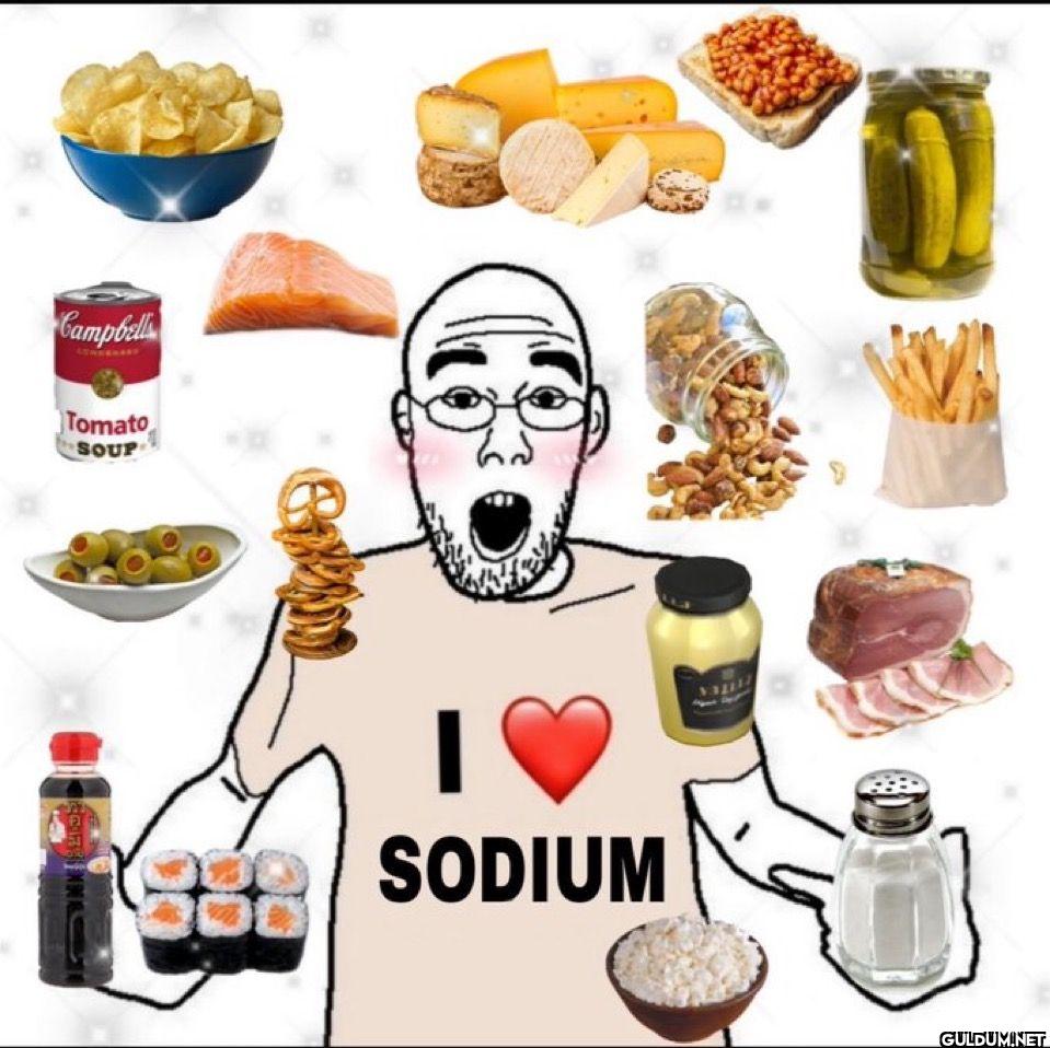 I SODIUM