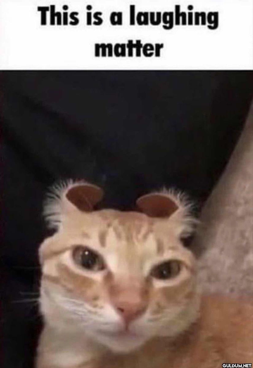 This is a laughing matter